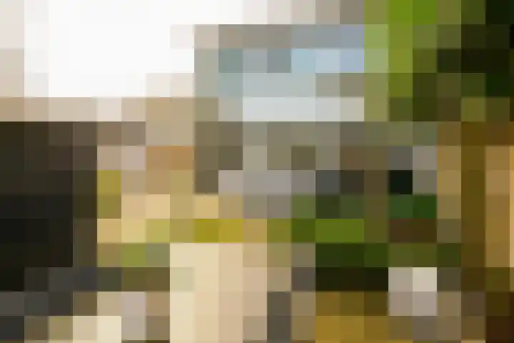 Egstraat 23 Hengelo thumbnail 30