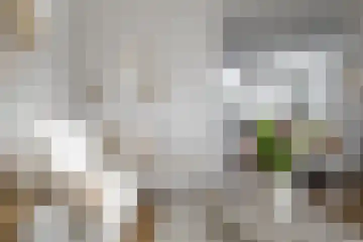 Egstraat 23 Hengelo thumbnail 7