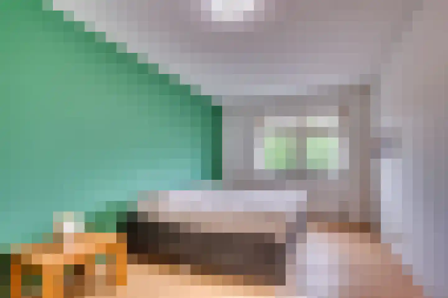 Egtenrayerhof 23 Venlo thumbnail 15