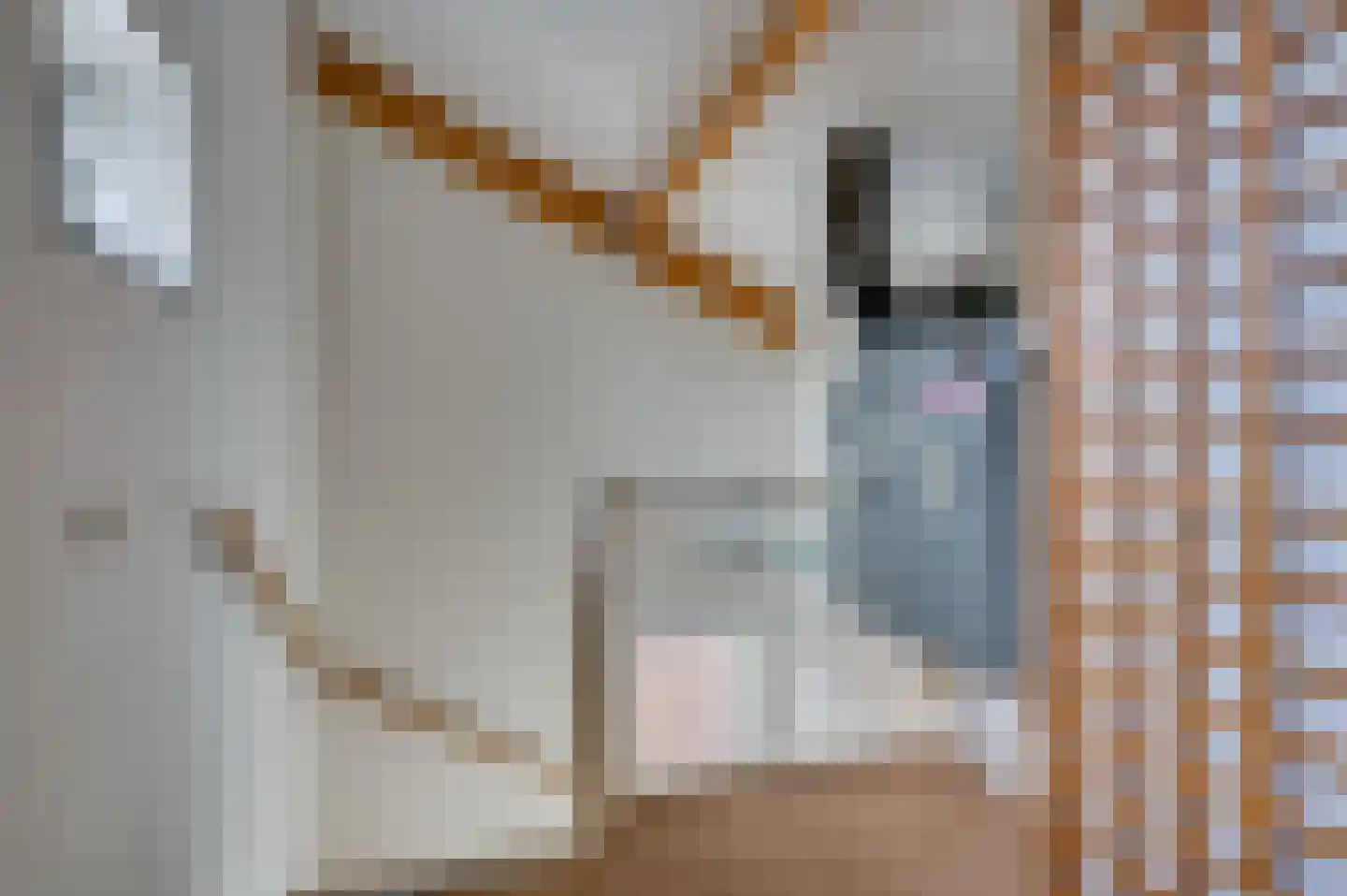 Egtenrayerhof 23 Venlo thumbnail 22