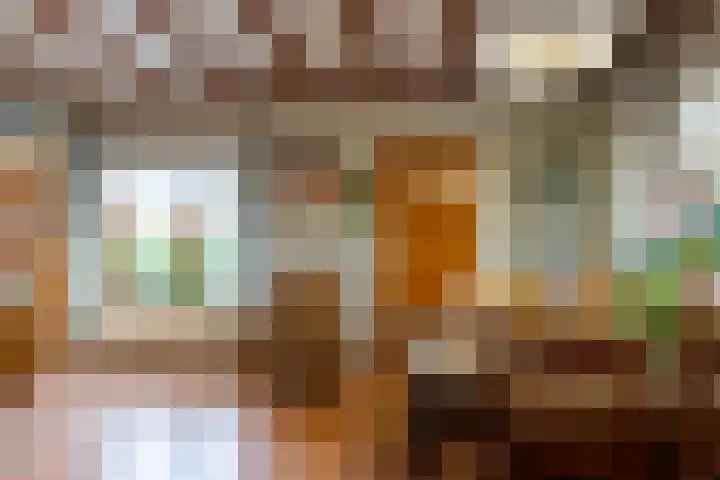 Egter van Wissekerkeweg 1 Poederoijen thumbnail 14