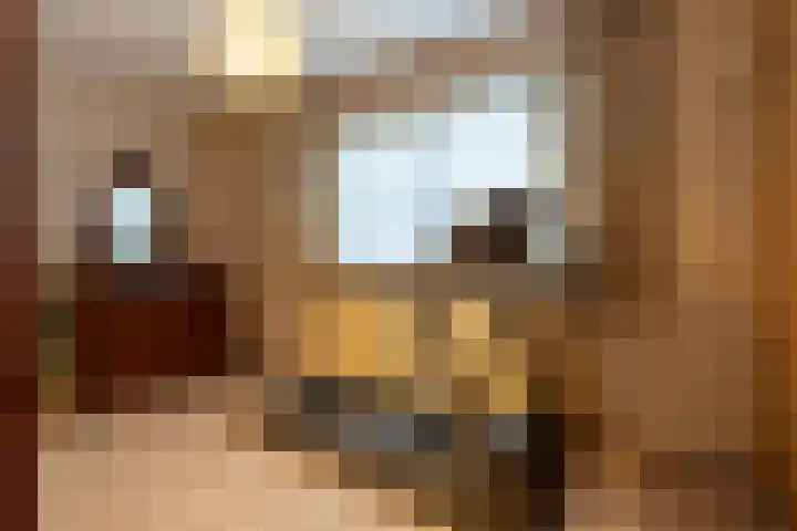 Egter van Wissekerkeweg 1 Poederoijen thumbnail 15
