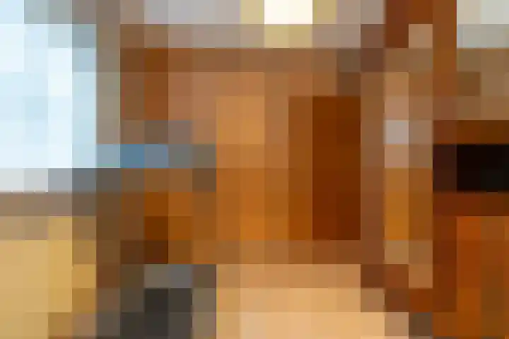 Egter van Wissekerkeweg 1 Poederoijen thumbnail 16