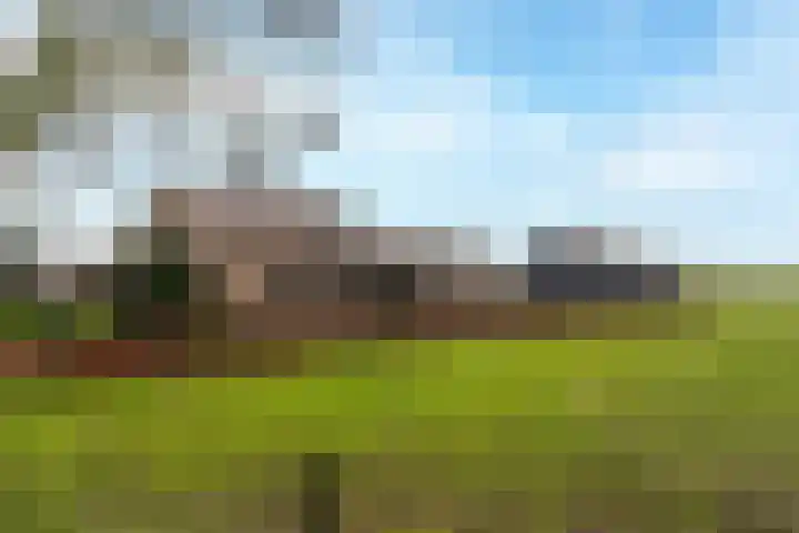 Egter van Wissekerkeweg 1 Poederoijen foto 3