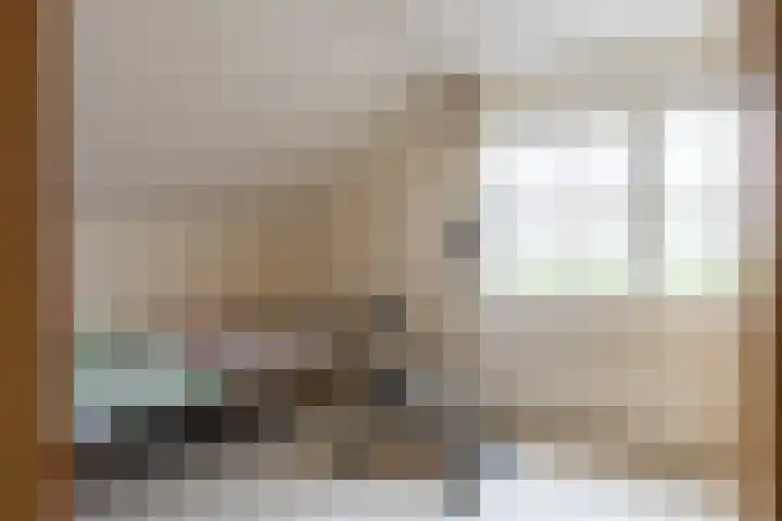 Egter van Wissekerkeweg 1 Poederoijen thumbnail 32