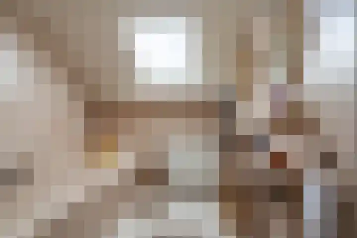 Egter van Wissekerkeweg 1 Poederoijen thumbnail 34