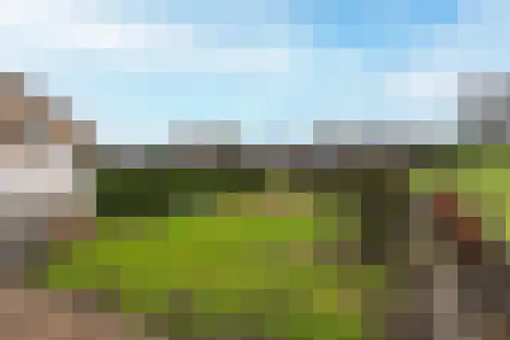 Egter van Wissekerkeweg 1 Poederoijen thumbnail 39