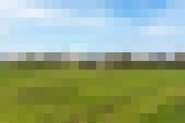 Egter van Wissekerkeweg 1 Poederoijen thumbnail 40