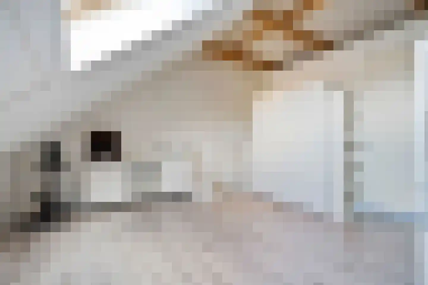 Egweg 7 Zwolle thumbnail 27