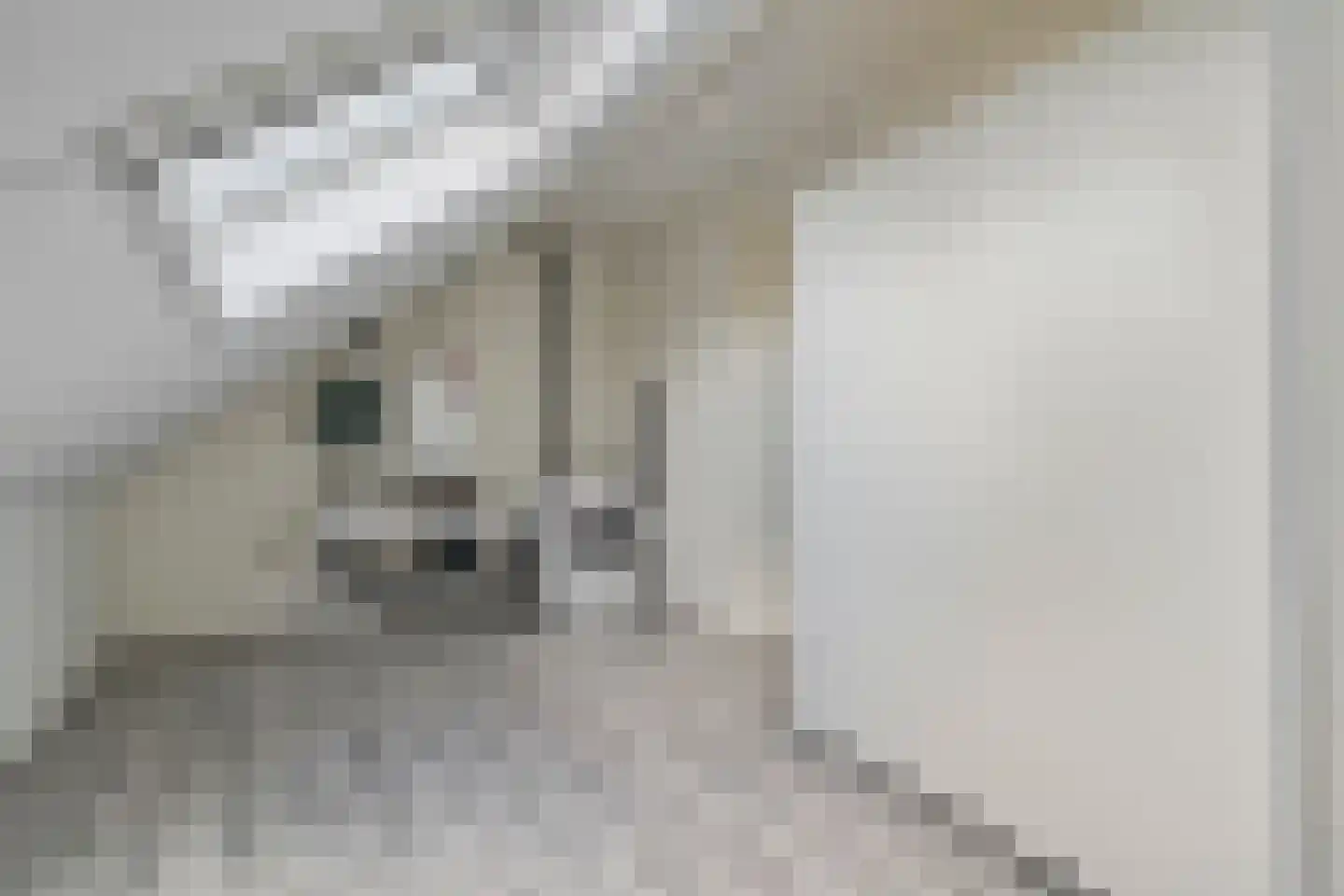 Egweg 7 Zwolle thumbnail 29
