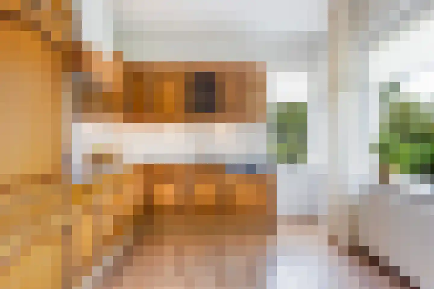 Egypte 1 A Buitenpost thumbnail 12