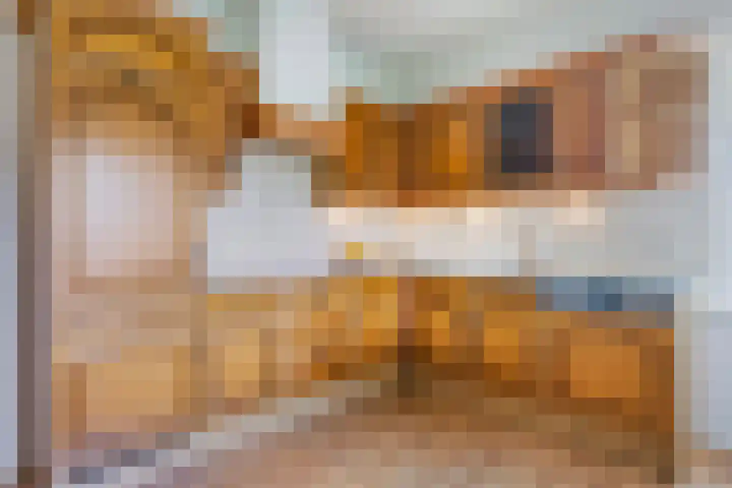 Egypte 1 A Buitenpost thumbnail 14