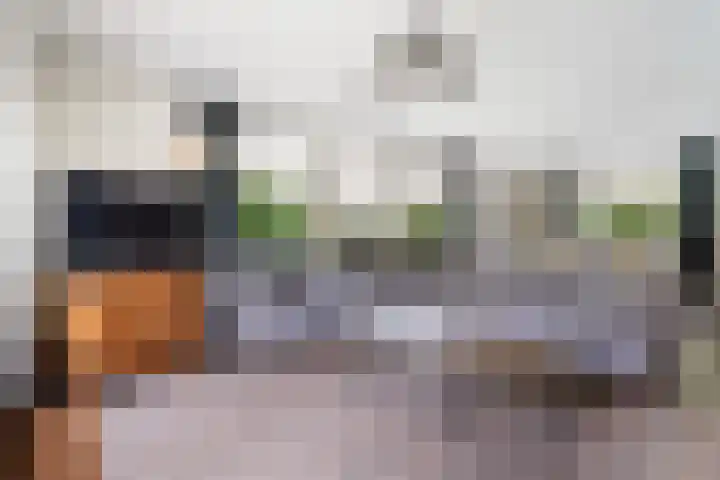 Egypte 2 Otterlo thumbnail 20