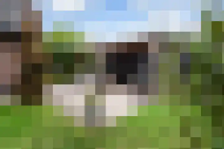 Egypte 2 Otterlo thumbnail 48
