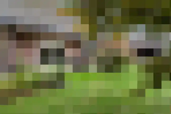Egypte 2 Otterlo thumbnail 51