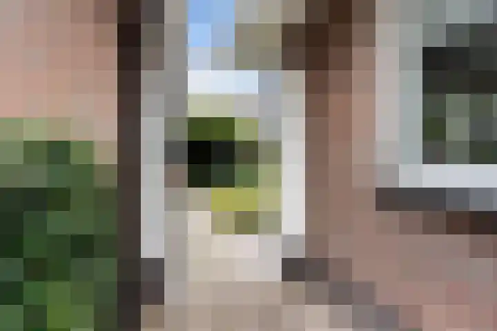 Egypte 2 Otterlo thumbnail 56