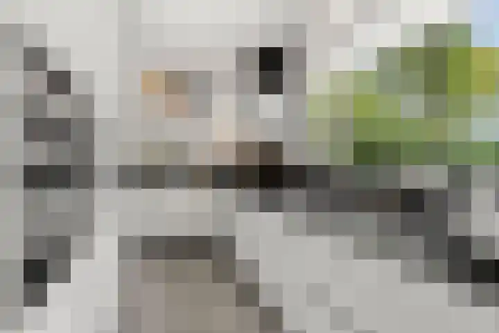 Egypte 3 Otterlo thumbnail 21
