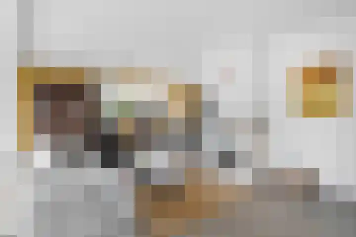 Egypte 3 Otterlo thumbnail 4