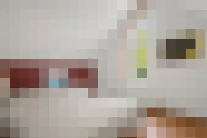 Egypte 3 Otterlo thumbnail 43