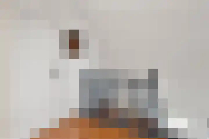 Egypte 3 Otterlo thumbnail 46