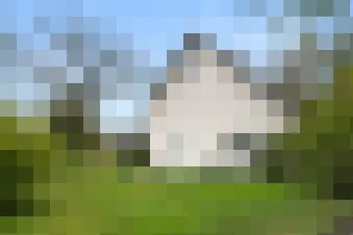 Egypte 3 Otterlo thumbnail 48