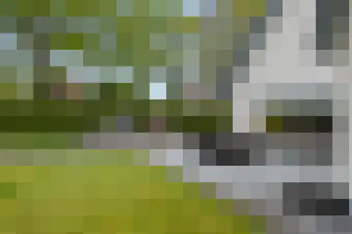Egypte 3 Otterlo thumbnail 49