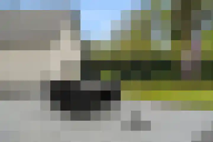 Egypte 3 Otterlo thumbnail 51