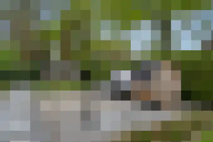 Egypte 3 Otterlo thumbnail 52