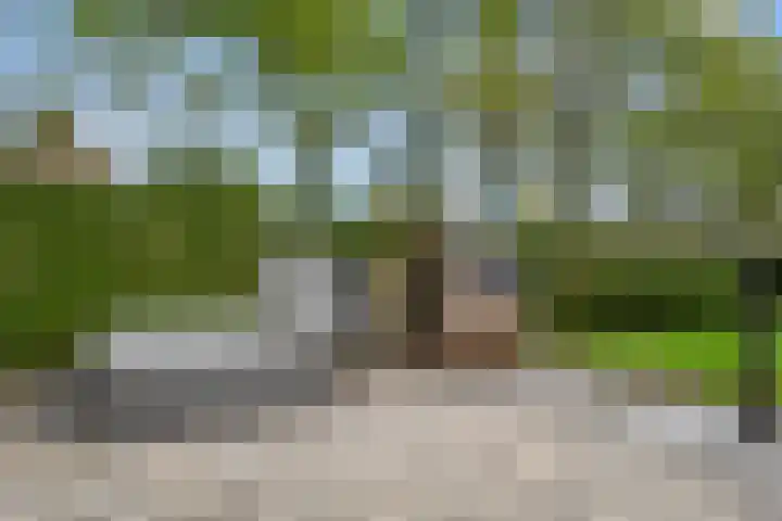 Egypte 3 Otterlo thumbnail 53