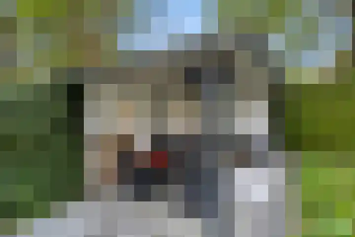 Egypte 3 Otterlo thumbnail 54
