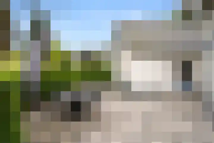 Egypte 3 Otterlo thumbnail 58