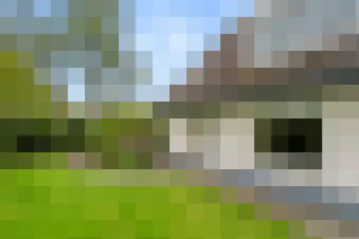 Egypte 3 Otterlo thumbnail 9