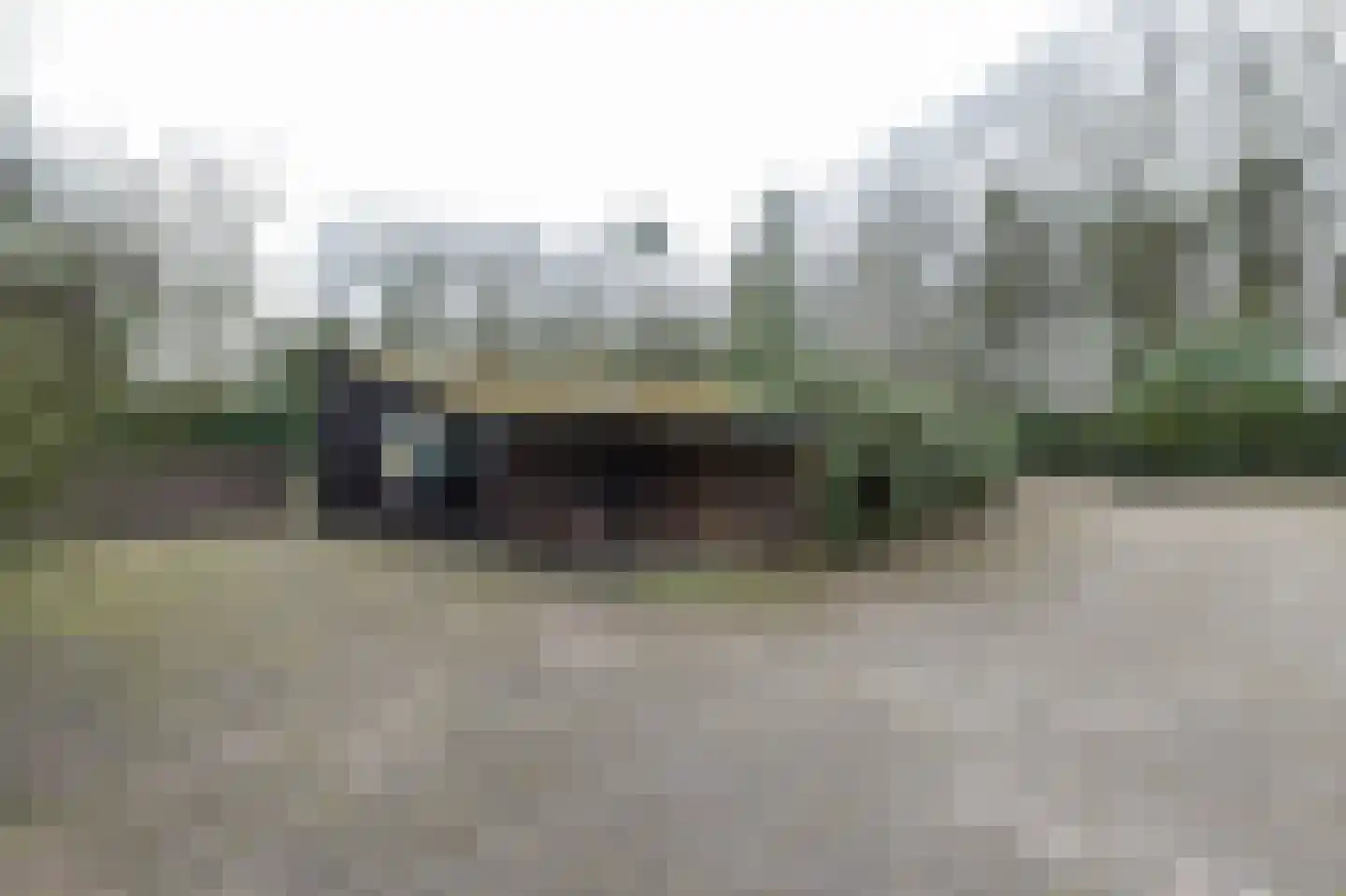 Egypte 4 Bladel thumbnail 34