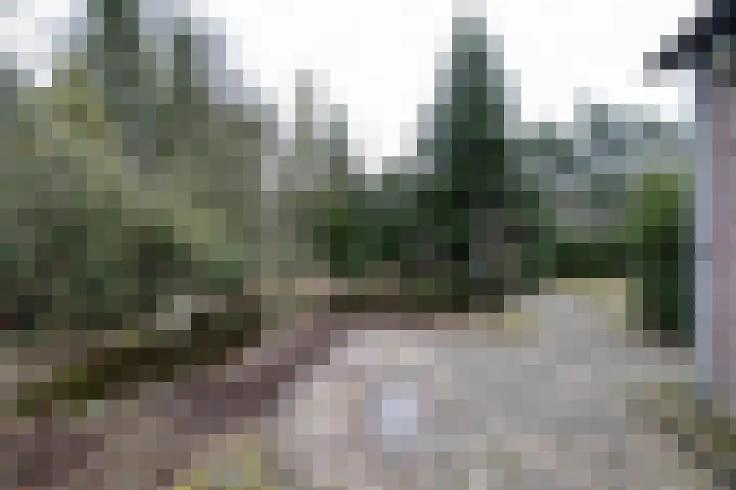 Egypte 4 Bladel thumbnail 36