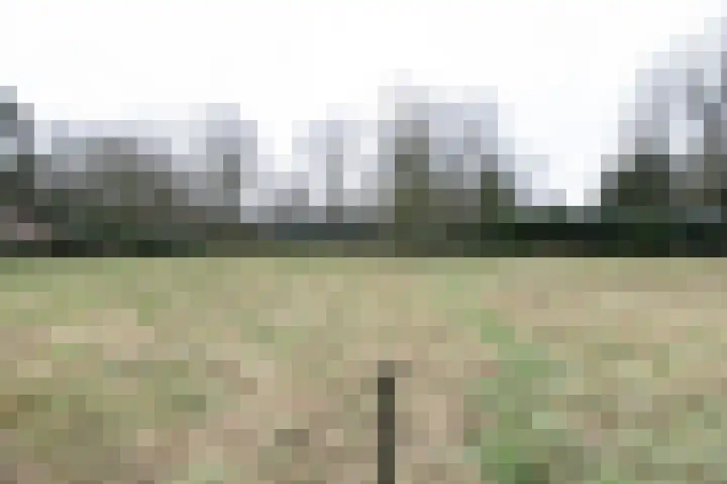 Egypte 4 Bladel thumbnail 42