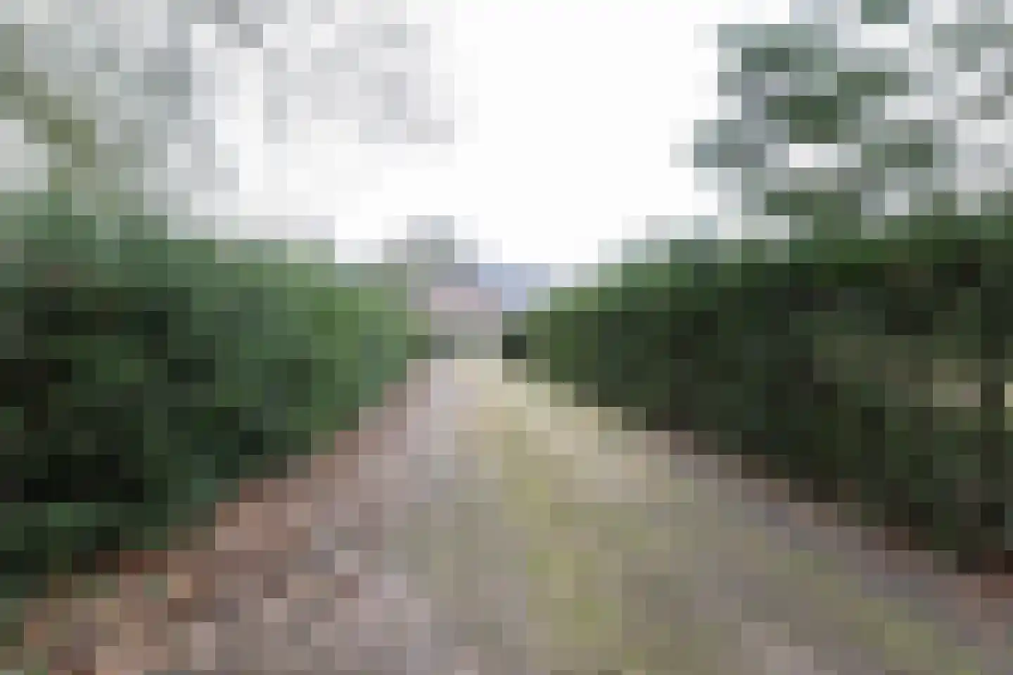 Egypte 4 Bladel thumbnail 43