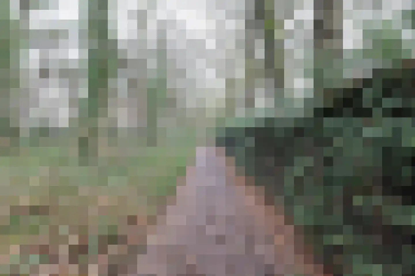 Egypte 4 Bladel thumbnail 44