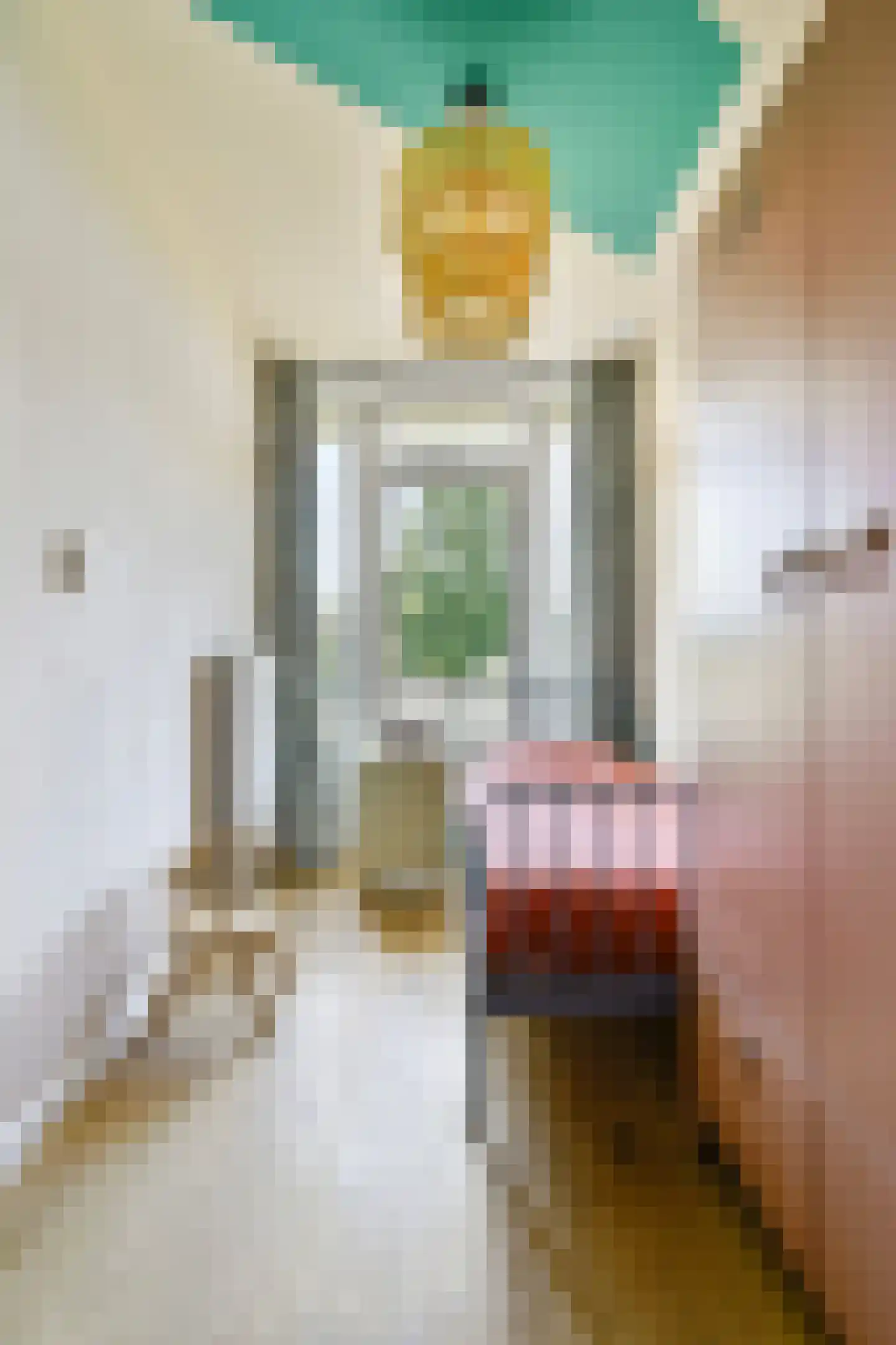 Ehrlichstraat 4 1 Amsterdam thumbnail 19