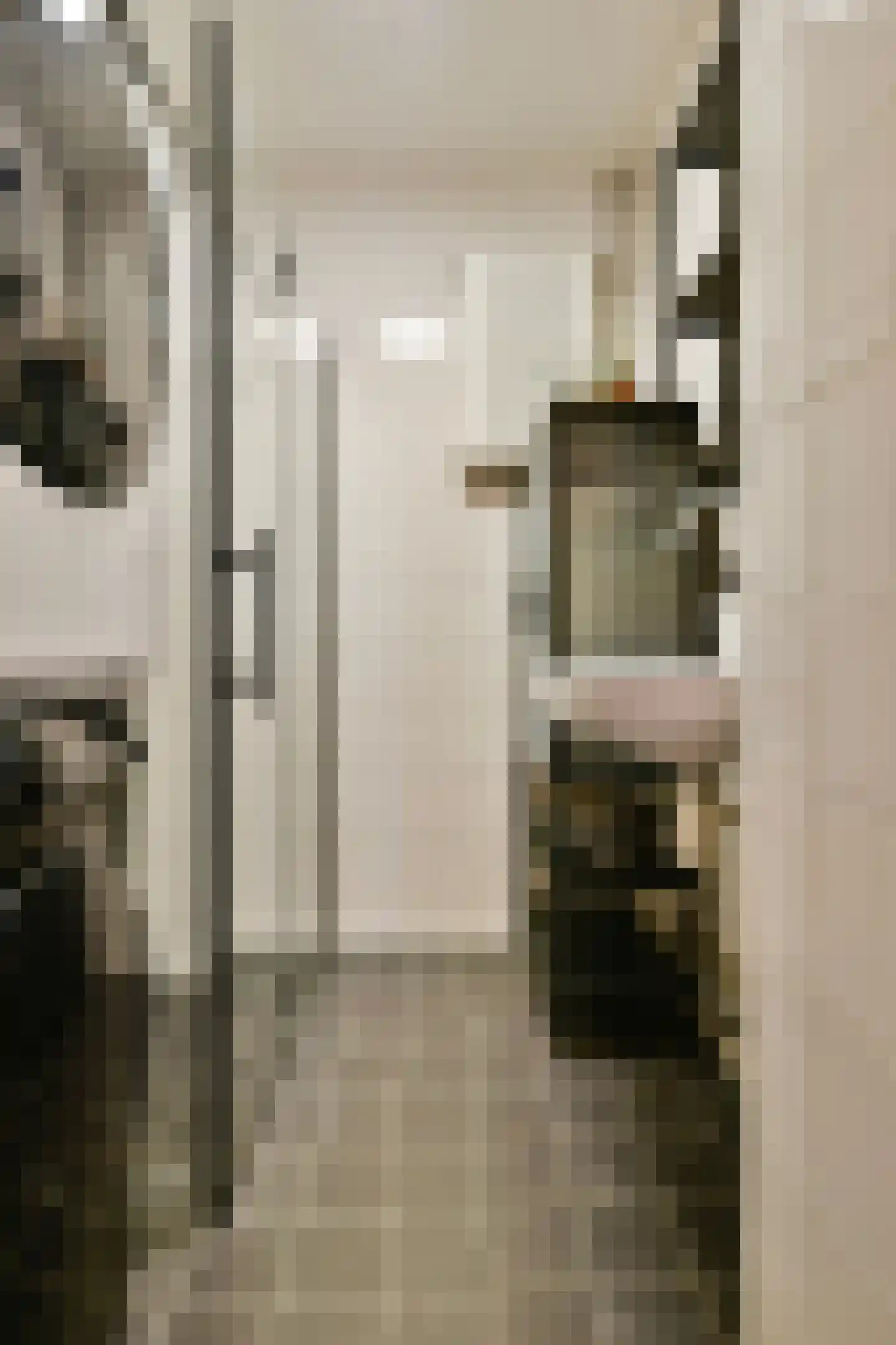 Ehrlichstraat 4 1 Amsterdam thumbnail 23