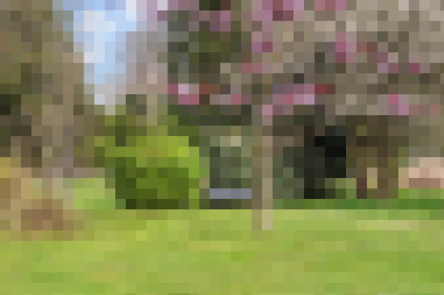 Ehzerallee 22 Almen thumbnail 10
