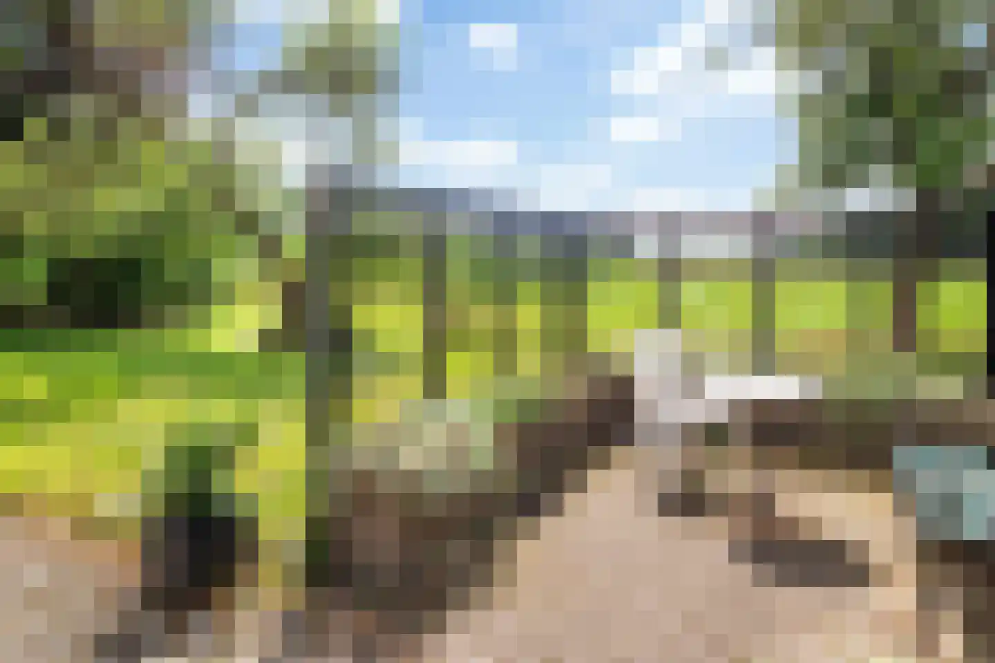 Ehzerallee 22 Almen thumbnail 11