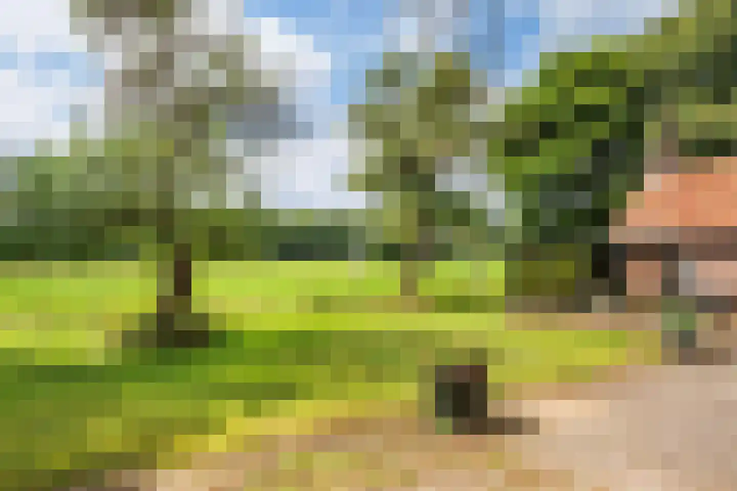 Ehzerallee 22 Almen thumbnail 13