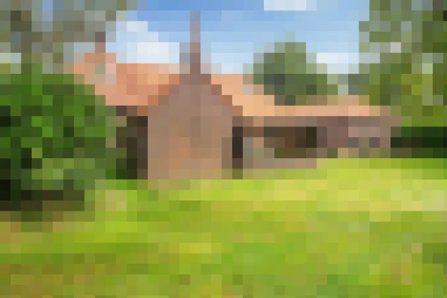 Ehzerallee 22 Almen thumbnail 14