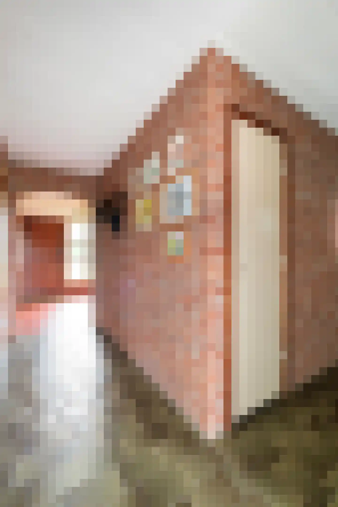 Ehzerallee 22 Almen thumbnail 17
