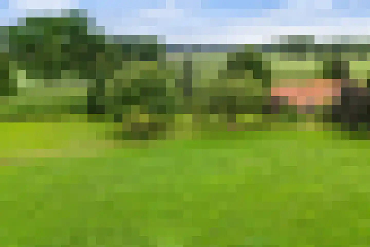 Ehzerallee 22 Almen thumbnail 4