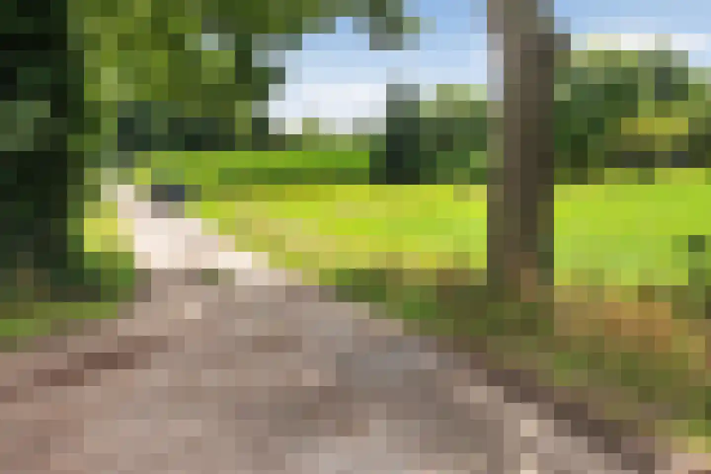 Ehzerallee 22 Almen thumbnail 42