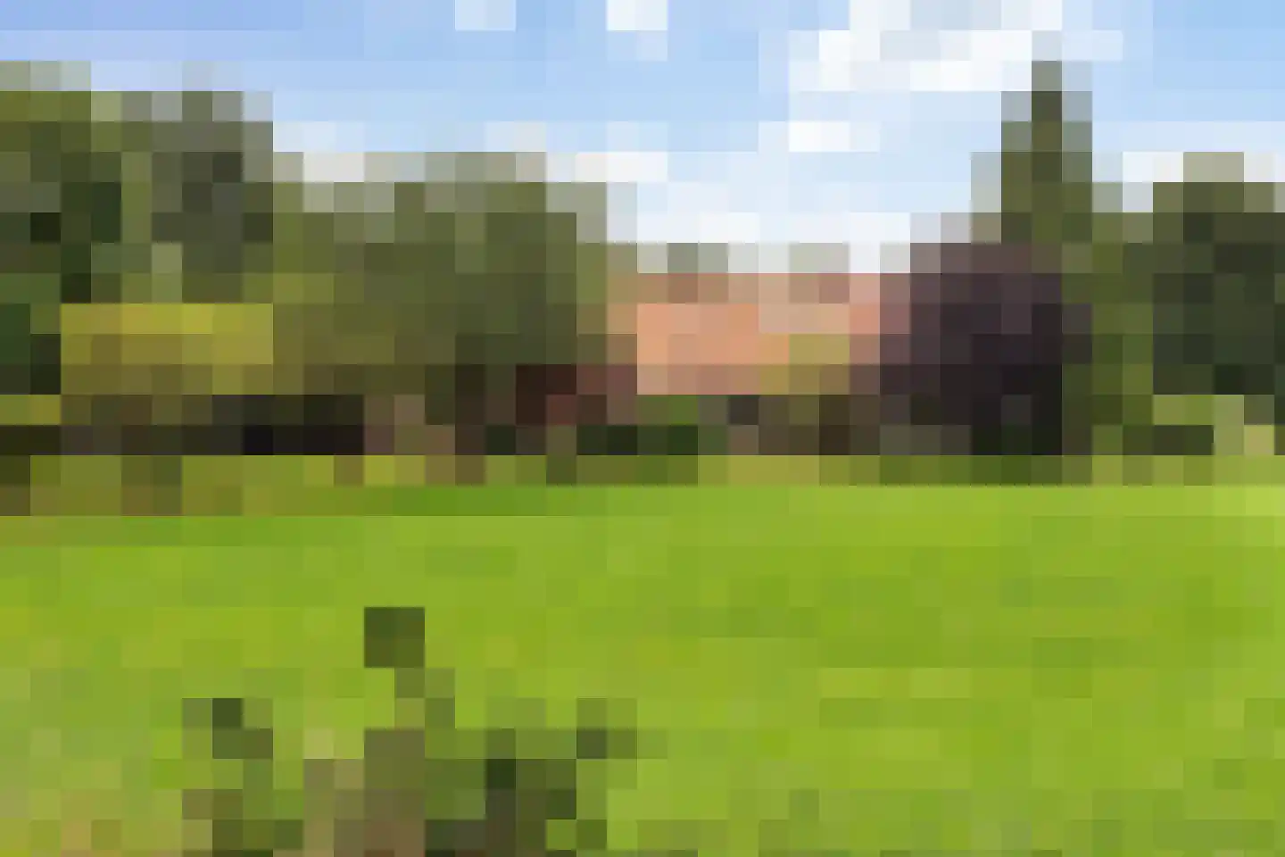 Ehzerallee 22 Almen thumbnail 5