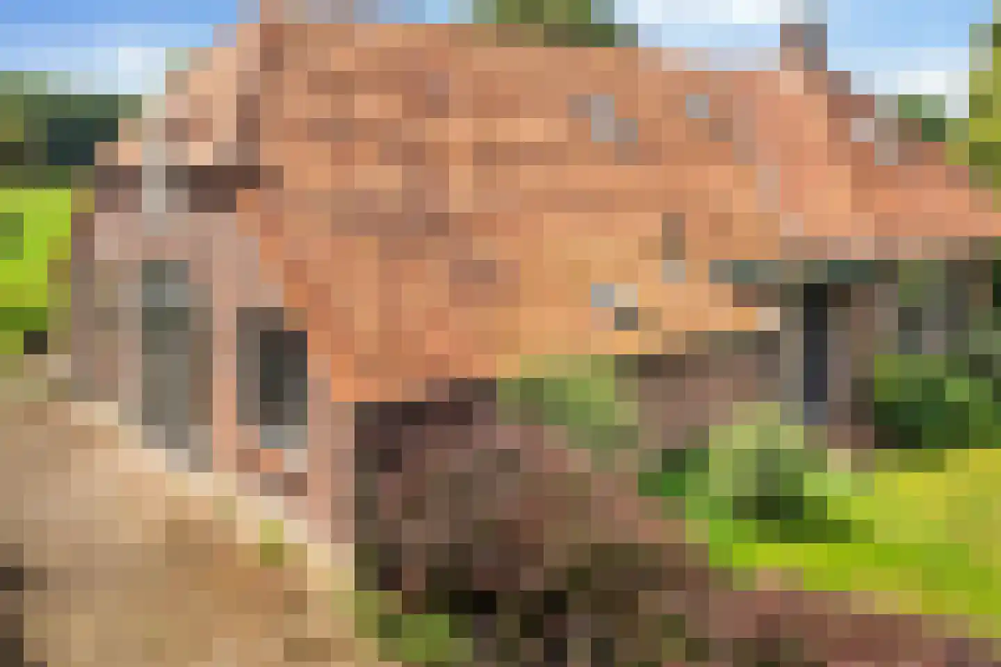 Ehzerallee 22 Almen thumbnail 8