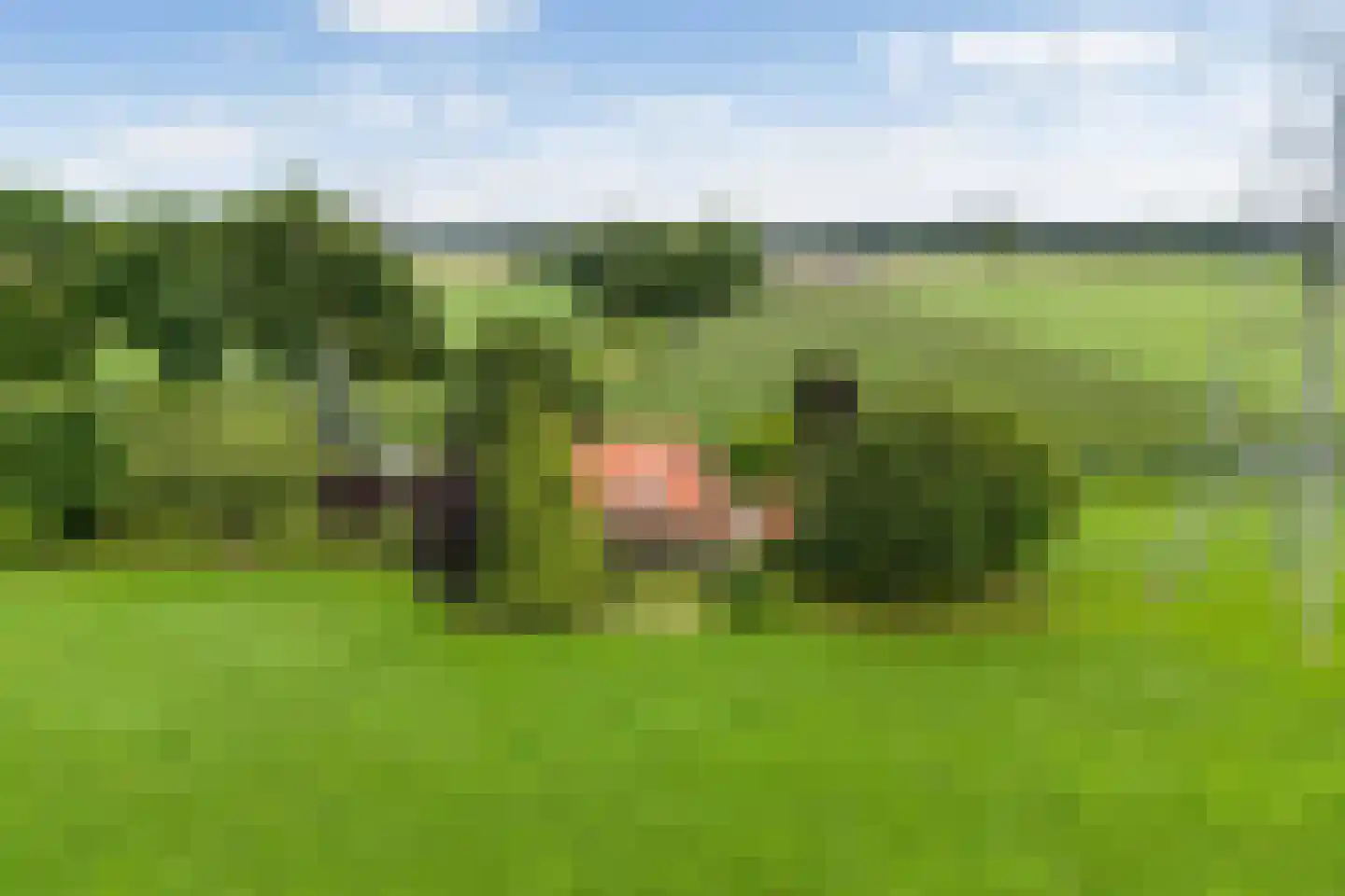 Ehzerallee 22 Almen thumbnail 9