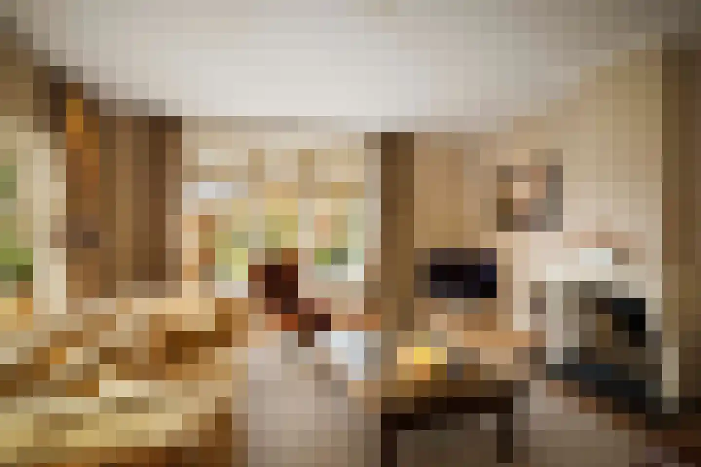 Ehzerallee 8 Almen thumbnail 11